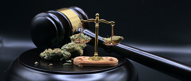 认罪认罚从宽制度的量刑折扣比例